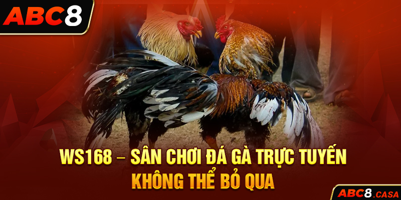 WS168 - Sân chơi đá gà trực tuyến không thể bỏ qua